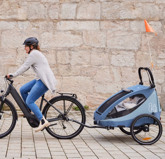 Hauck Carrello bici dryk duo plus - Rimorchio e passeggino doppio 2in1 - dark blue