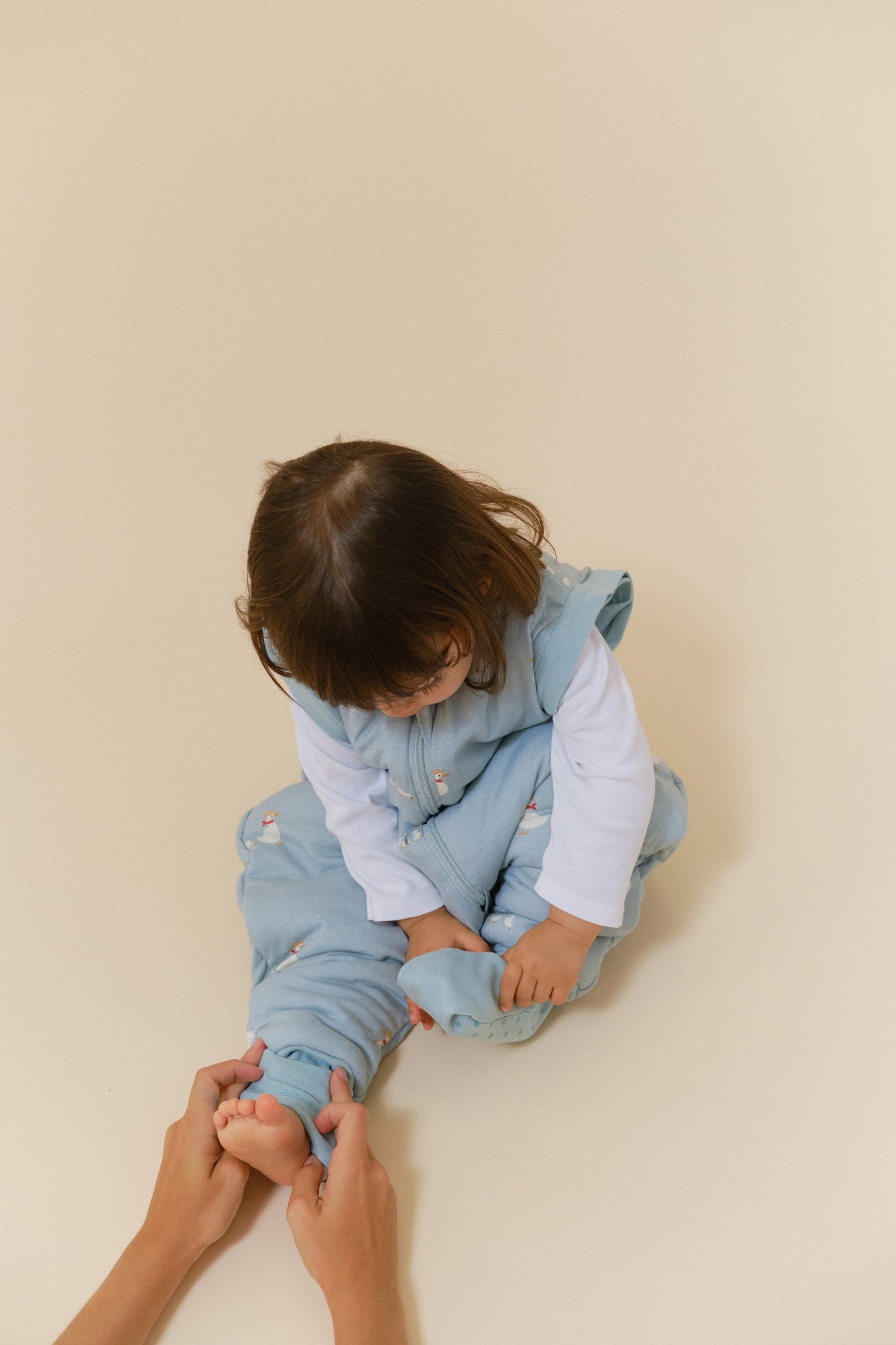 Molis&Co - Sacco nanna con piedini e maniche e calzini antiscivolo - Duck Family - TOG 2.5