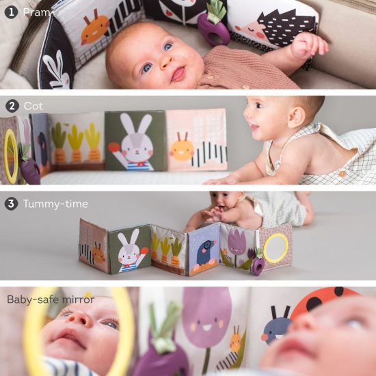 Taf Toys - Urban garden Pram book