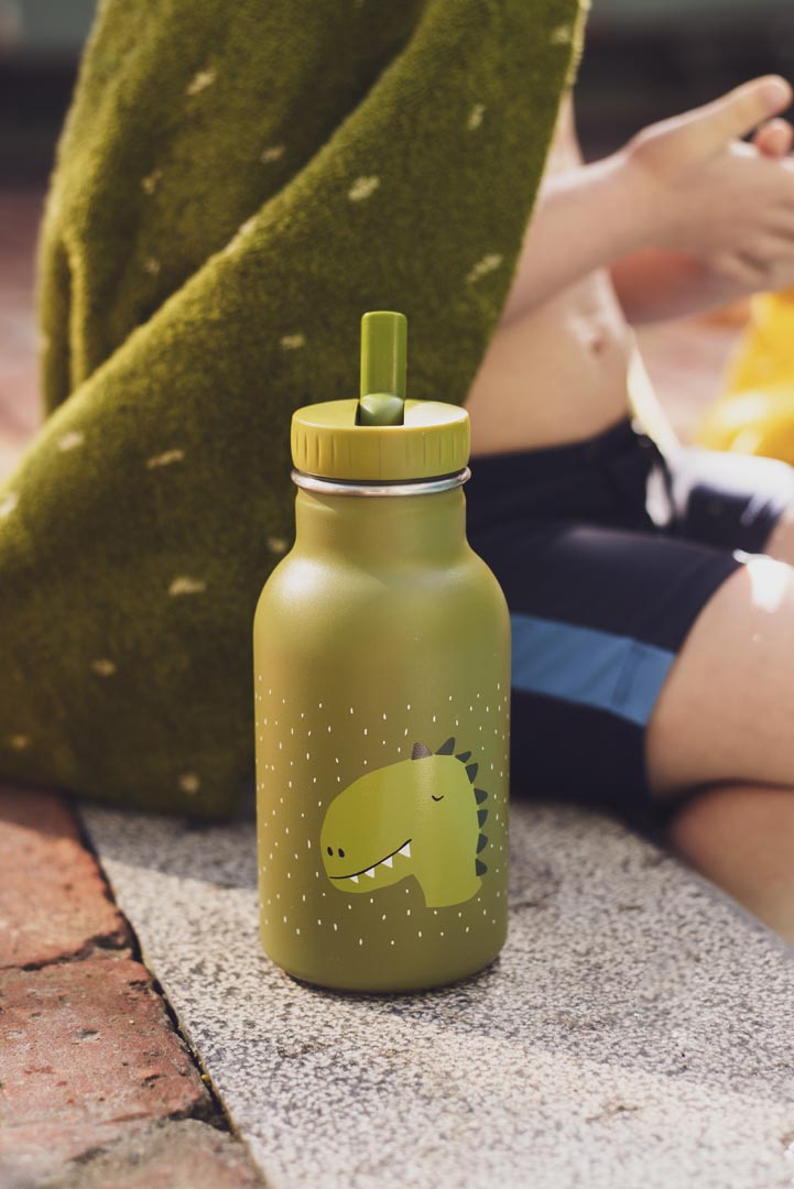 Trixie - Bottiglia termica Thermos 350ml Mr. Dino - 40-201