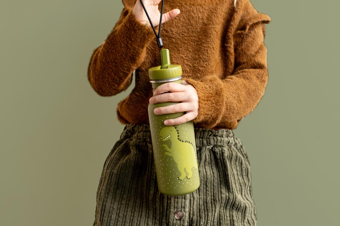 Trixie - Bottiglia termica Thermos 500ml Mr. Dino - 41-201