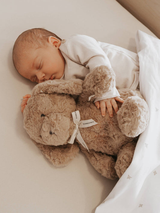 Bamboom Cagnolino rumori bianchi 785 - BROWN 425