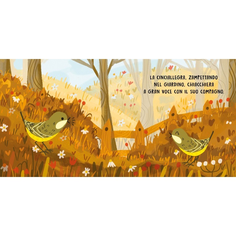SASSI - Dolci Storie Sonore - Gli Uccelli - 0+