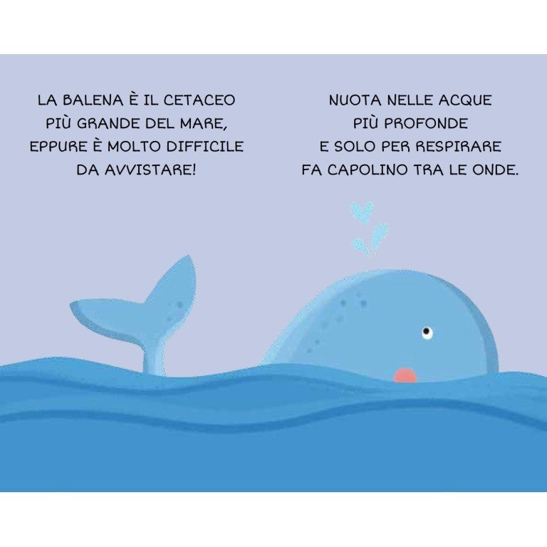 SASSI - La mia Prima Biblioteca - il Mare - 2+