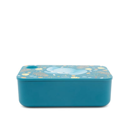 SASSI - Contenitore pappa Lunch Box in PET alimentare – THE ELEPHANT
