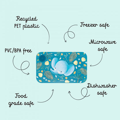SASSI - Contenitore pappa Lunch Box in PET alimentare – THE ELEPHANT